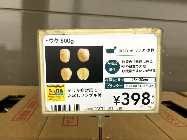 トウヤ カインズ 種芋